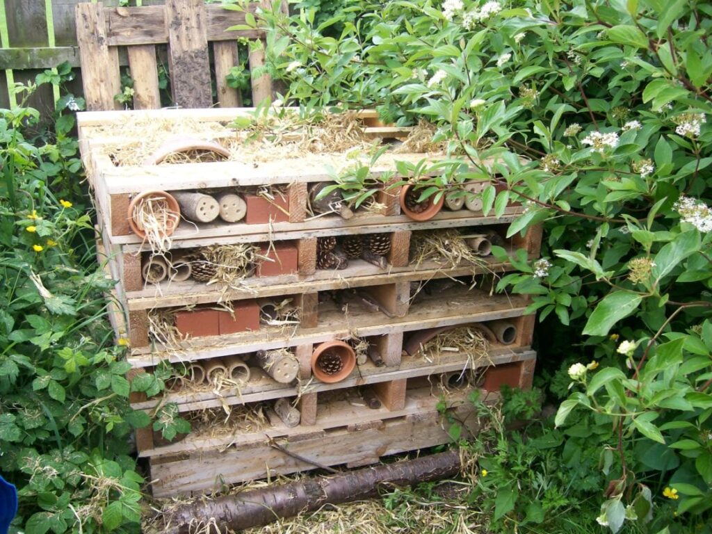 The completed 'Bug Hotel'